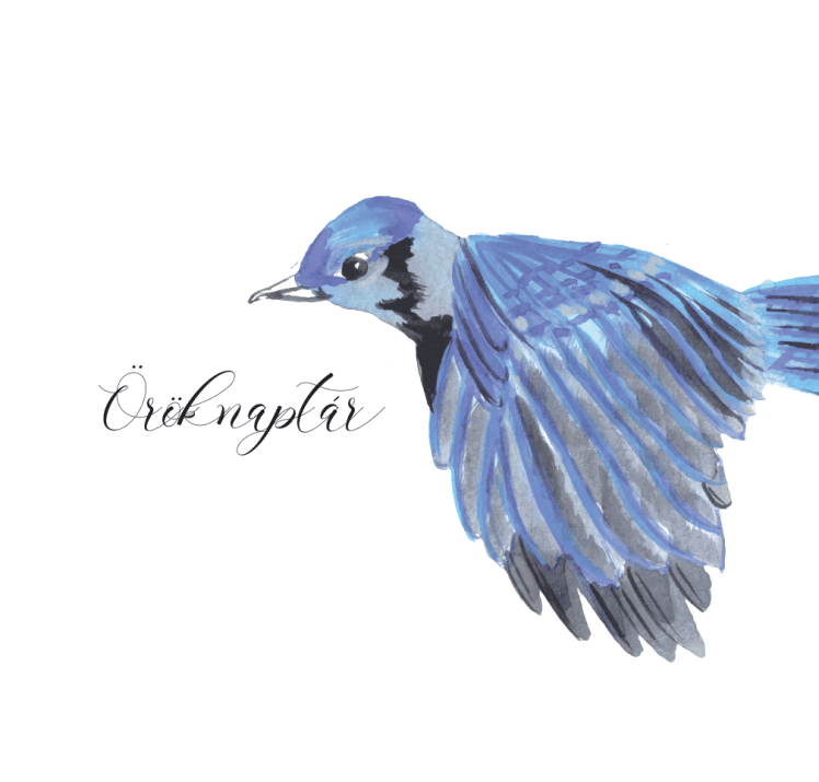 Öröknaptár – a dátumoknak, amelyek igazán&nbsp;fontosak